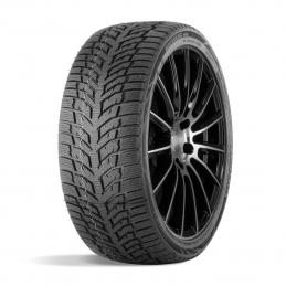 Doublestar Winterking DW08 165/70R13 79T