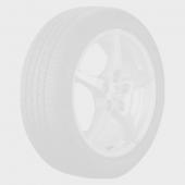 Шины Ikon (Nokian Tyres) Nordman 5